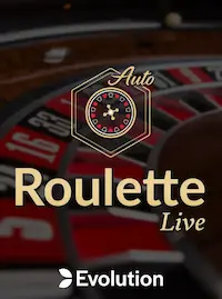 Roulette Live at DOG 66 COM
